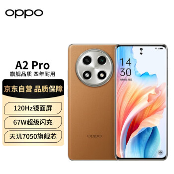OPPO A2 Pro 5G手机 12GB+256GB 大漠棕