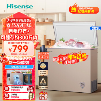 Hisense 海信 BD/BC-203NUD 冰柜 203L