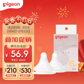 Pigeon 贝亲 自然实感第3代系列 BA136 启衔奶嘴 2只装 L 6月+