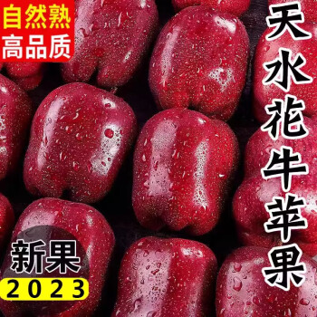 晓筱农场 甘肃天水花牛苹果 4.5-5斤装12-15个 圣诞果  产地直发