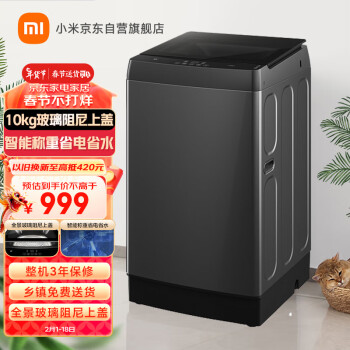 MIJIA 米家 XQB100MJ201 定频波轮洗衣机 10kg 灰色