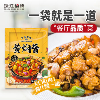 PEARL RIVER BRIDGE 珠江桥牌 黄焖酱100g 一酱成菜黄焖鸡调味料烧烤焖烧酱料 广东