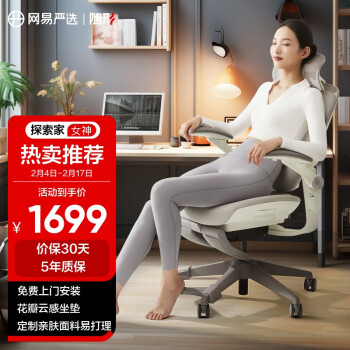 YANXUAN 网易严选 探索家系列 人体工学椅 玛瑙灰 LADY款