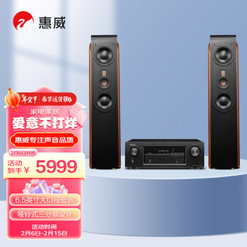 HiVi 惠威 D3.2MKIII+天龙X540功放 前置音响 家庭影院主音箱2.0声道HiFi 木质高保真落地