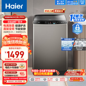 Haier 海尔 EB100B22Mate2 变频波轮洗衣机 10kg 灰色