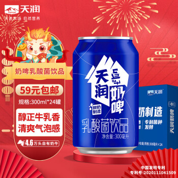 TERUN 天润 奶啤乳酸菌风味牛奶饮品 300ml*24罐礼盒装