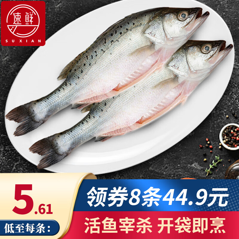 SuXian 速鲜 新鲜活冻白蕉海鲈鱼净重250g*4袋（共8条） 券后49.9元