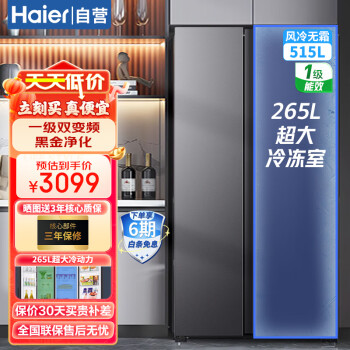 Haier 海尔 巨能冻系列 BCD-515WLHSSEDS9 风冷对开门冰箱 515L 星蕴银