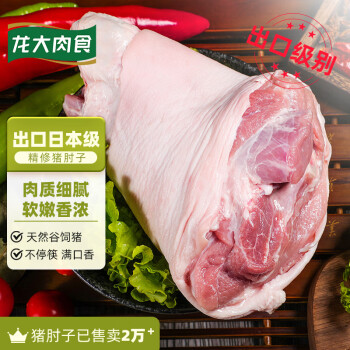 LONG DA 龙大 肉食 猪肘子 1kg