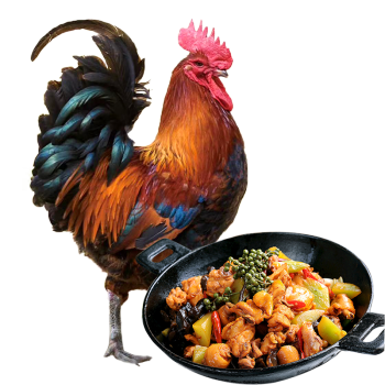 庆方堂 散养青脚土公鸡1.2kg 放养168天整鸡鸡肉生鲜