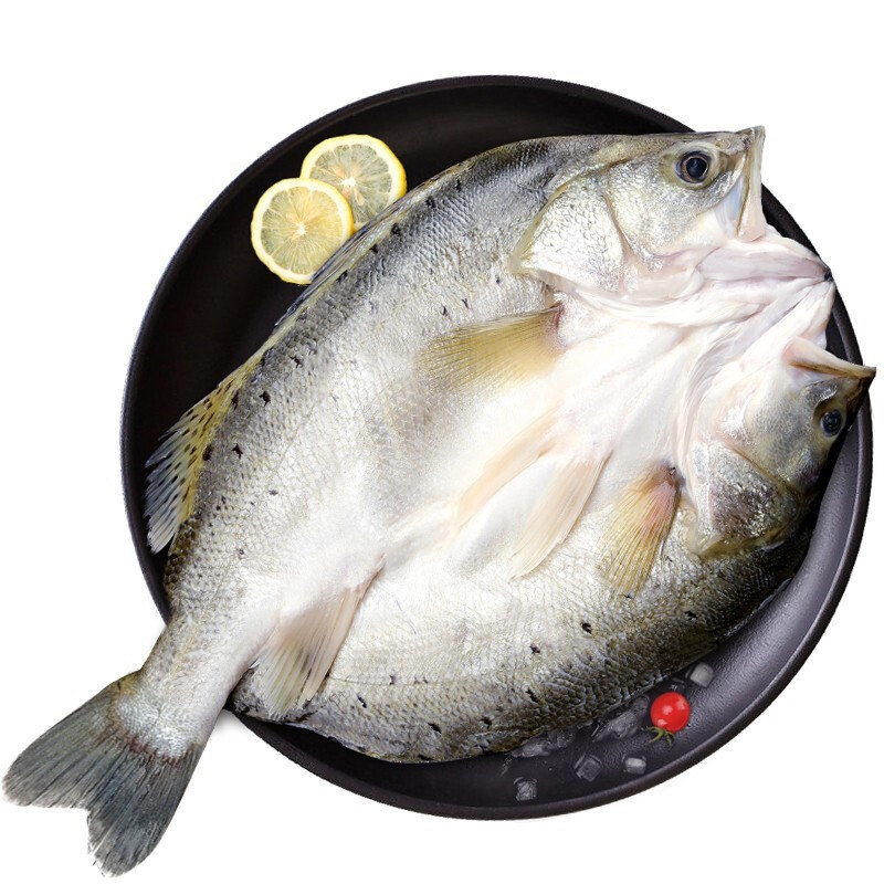 DIAOYUJI 钓鱼记 海鲈鱼 500-650g 24.9元