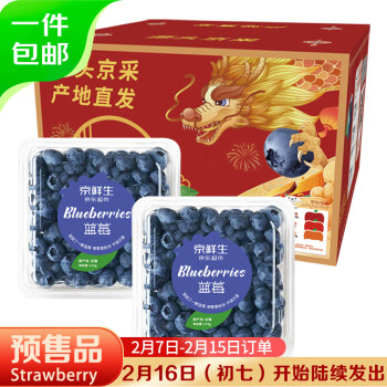 Mr.Seafood 京鲜生 云南蓝莓 2盒装 约125g/盒 新鲜水果礼盒 源头直发 包邮