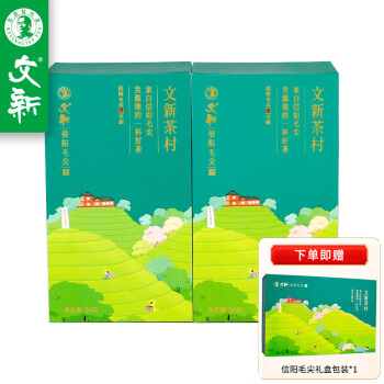 WenXin Tea 文新 信阳毛尖茶叶2023年新茶明前绿茶特级毛尖信阳茶村礼盒100g