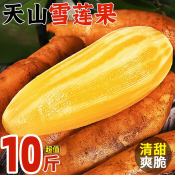 菲农 云南天山雪莲果 精品10斤装 高原特产 新鲜水果