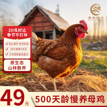 秦家院子 土鸡 生鲜鸡肉山林散养500天老母鸡农家走地鸡生鲜母鸡整只 1.2kg