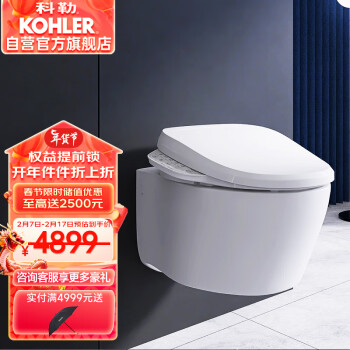 KOHLER 科勒 智能壁挂式马桶 25255T-BW-0+气动面板+18649