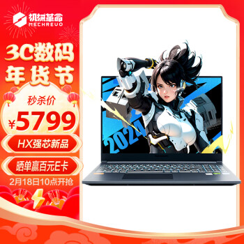 机械革命 极光Pro16英寸 i5HX 游戏本笔记本电脑(i5-13450HX 16G 1T RTX4060双液金散热)