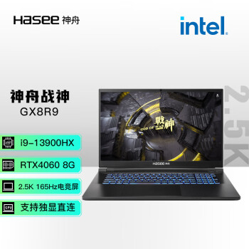 Hasee 神舟 战神GX8R9（酷睿i9-13900HX、RTX 4060 8G、32GB、1TB SSD、2.5K、IPS、165Hz）