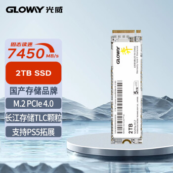 GLOWAY 光威 弈系列 M.2 NVMe 固态硬盘 2TB