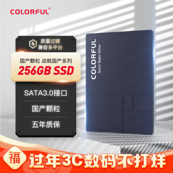COLORFUL 七彩虹 战戟 SL300 SATA 固态硬盘 256GB（SATA3.0）