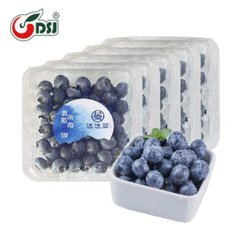 DSJ 云南当季蓝莓14mm+ 4盒装 约125g/盒 新鲜水果礼盒 源头直发