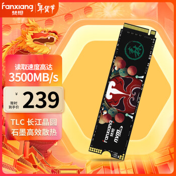 FANXIANG 梵想 512GB SSD固态硬盘 精选长江存储晶圆 国产TLC颗粒 M.2接口 S500PRO