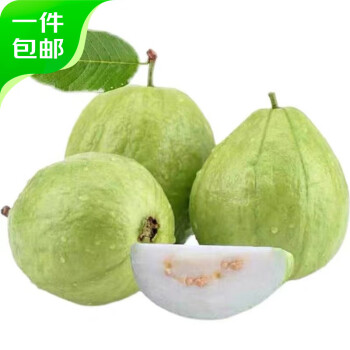Mr.Seafood 京鲜生 白心芭乐净重3斤 单果150g起 番石榴 新鲜水果源头直发