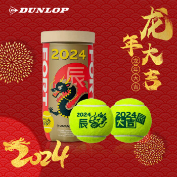 DUNLOP 邓禄普 网球  初学进阶专业训练高弹耐打练习网球 龙年生肖球整箱 30筒