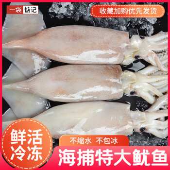 一袋惦记 鲜冻大鱿鱼 净重不含冰 1至2条  500g