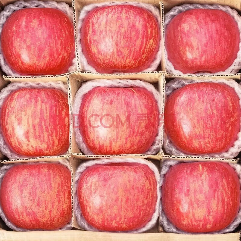 鲜级佳 年货节 山东特产脆甜烟台红富士苹果10斤装 特大果 券后52.5元
