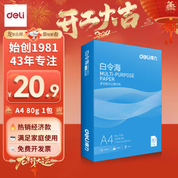 deli 得力 白令海A4打印纸 80g500张单包复印纸 双面加厚 高性价比草稿纸 打印作业7756