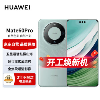 HUAWEI 华为 旗舰手机 Mate 60 Pro 12GB+512GB 雅川青