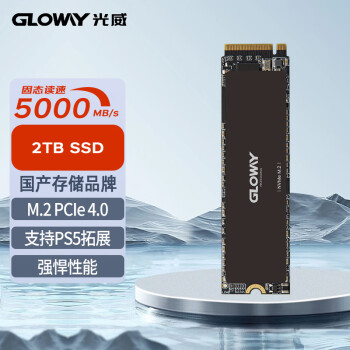 GLOWAY 光威 2TB SSD固态硬盘 M.2接口 PCIe 4.0x4 Professional系列
