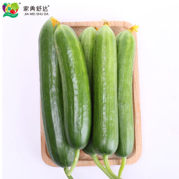 家美舒达 山东农特产 水果黄瓜 1kg 小黄瓜  健康轻食 新鲜蔬菜 年货