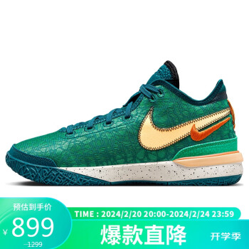 NIKE 耐克 篮球鞋男詹姆斯20代LEBRON NXXT运动鞋秋冬DR8788-301青42.5