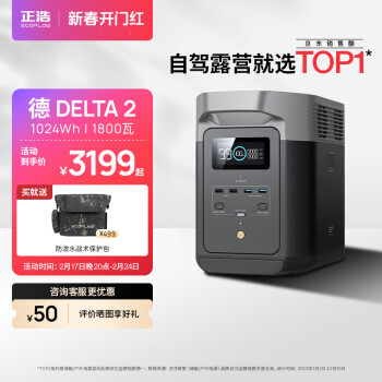 ECOFLOW DELTA 2 移动电源 黑色 1024Wh Type-C 1800W 双向快充