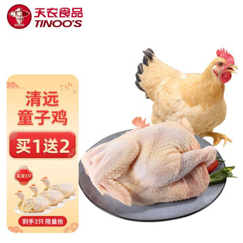 天农 食品 清远童子鸡600g 冷冻新鲜鸡肉 农家散养土鸡 清蒸烤鸡生鲜食材