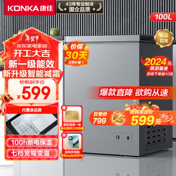 KONKA 康佳 小冰柜BG10JD 100升