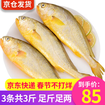 FingersFresh 弹指鲜生 黄花鱼1.5kg 活冻大黄鱼3条 冷冻黄鱼海鲜水产