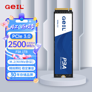 GeIL 金邦 固态硬盘 .2接口CIe 3.0台式机笔记本硬盘 高速2500MB/S P3A系列 1TB