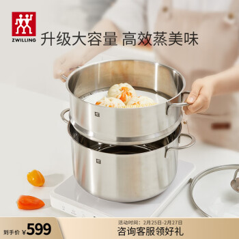 ZWILLING 双立人 蒸锅不锈钢汤锅蒸笼蒸屉家用煲汤煮锅Nova plus厨具两件套28cm