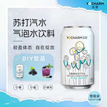 Yocharm 云臣 肆無精神 苏打汽水 百香果味 330ml*24罐