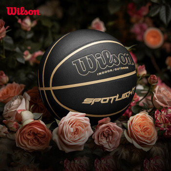 Wilson 威尔胜 SPOTLIGHT系列成人篮球室内外通用黑金7号篮球