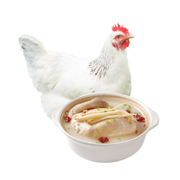 DOYOO 大用 散养白羽鸡整鸡 约700g/只生鲜鸡肉食材小笨鸡土鸡童子鸡
