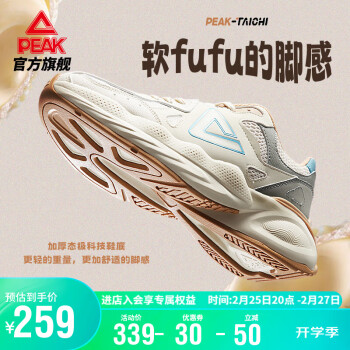PEAK 匹克 态极 男鞋面包鞋 DE340057