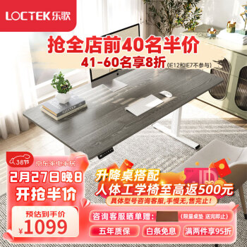 Loctek 乐歌 E2 电动升降电脑桌 浅灰木纹色1.2m
