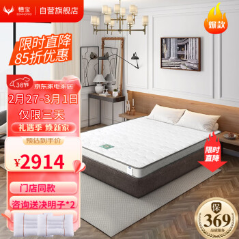 SOMNOPRO 穗宝 SYMBOL）床垫环保椰棕床垫加硬健脊薄垫抗菌棕垫 南海椰歌10C 1.5米