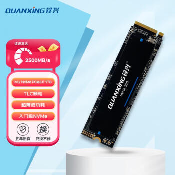 QUANXING 铨兴 N200系列 NVMe M.2 固态硬盘 1TB（PCI-E3.0）