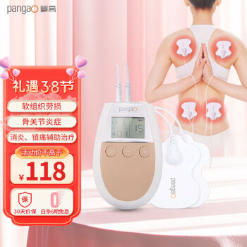 pangao 攀高 PG-2602C 低频治疗仪 按摩仪理疗仪