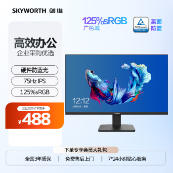 SKYWORTH 创维 23.8英寸 IPS技术显示屏（24X3）